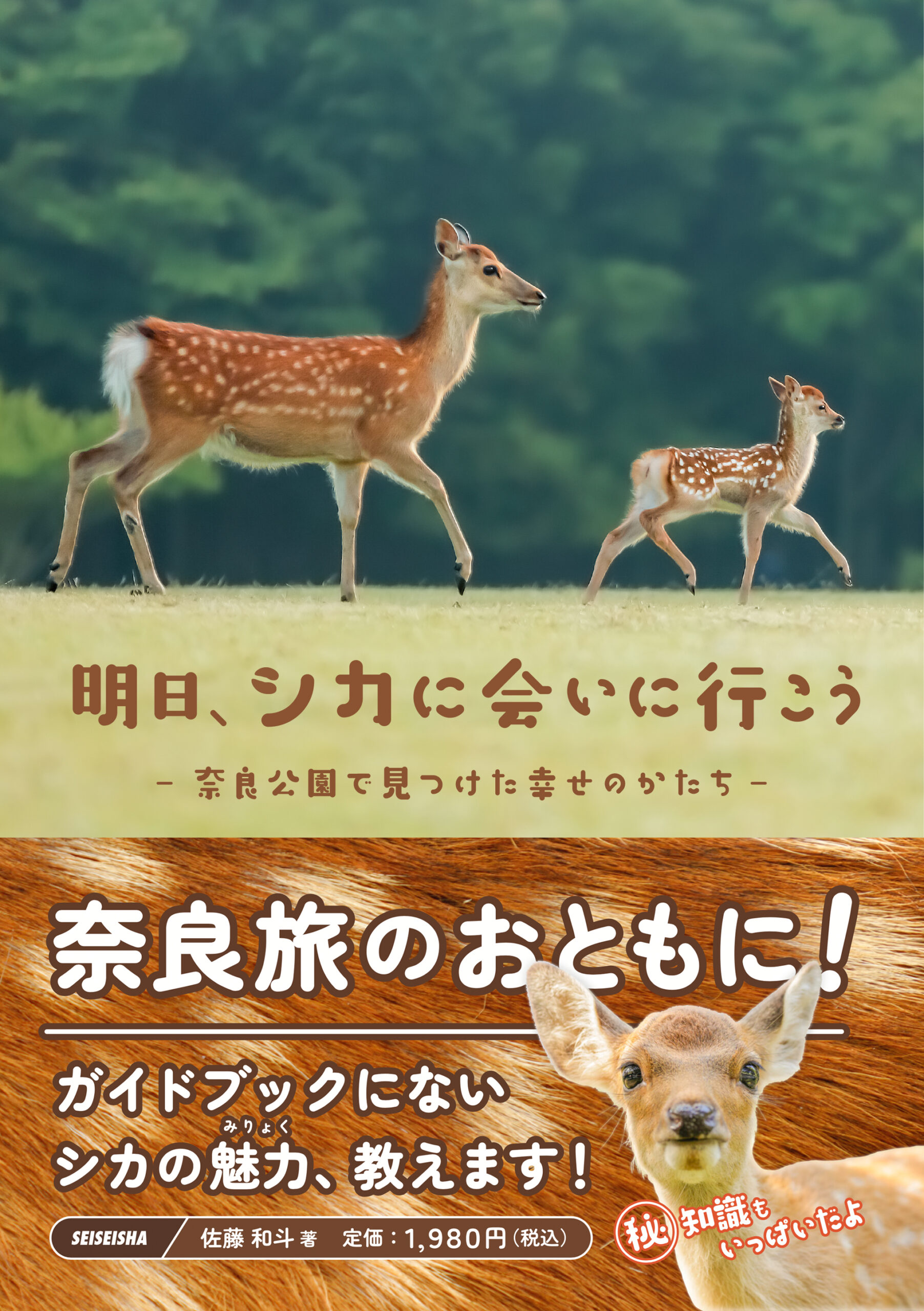 奈良県産 鹿の角 11本 鹿の角 11本 （鹿の角を拾う！ | 樺のんBLOG）